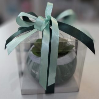 Vasetto con piantina grassa artificiale