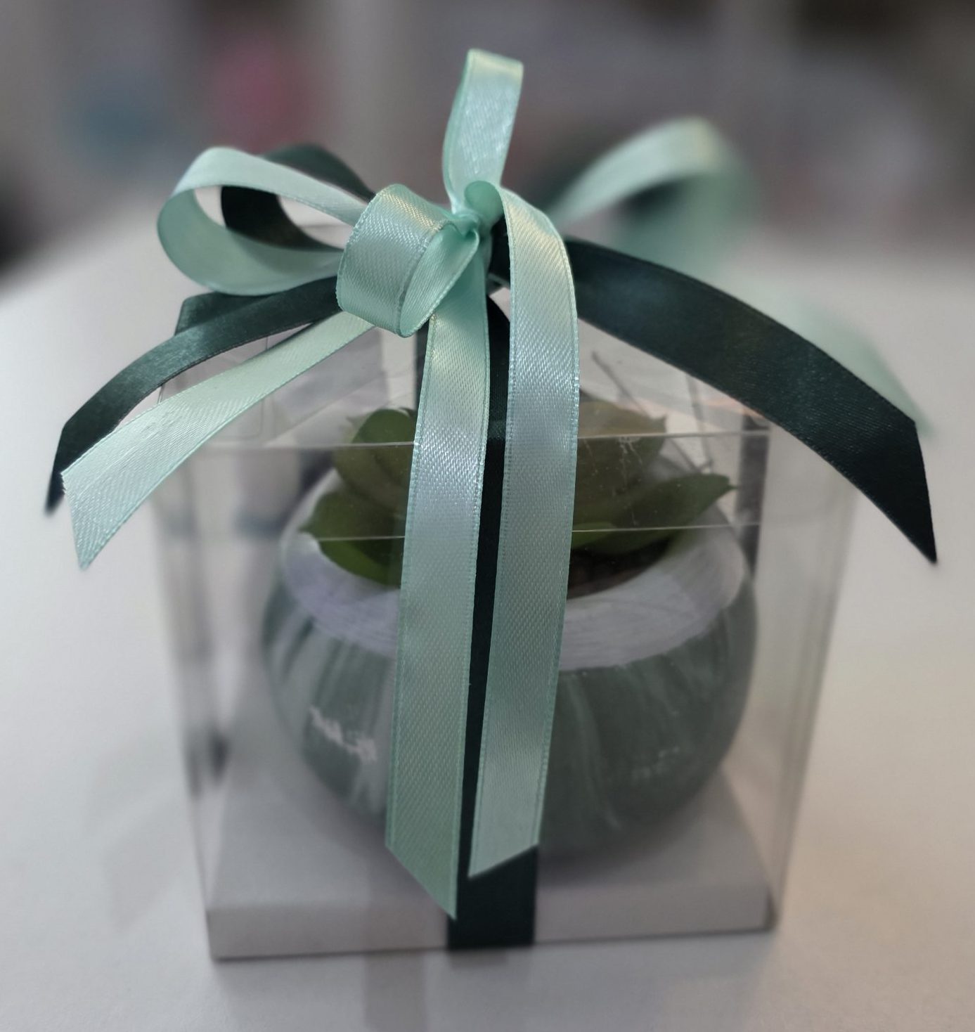 Vasetto con piantina grassa artificiale